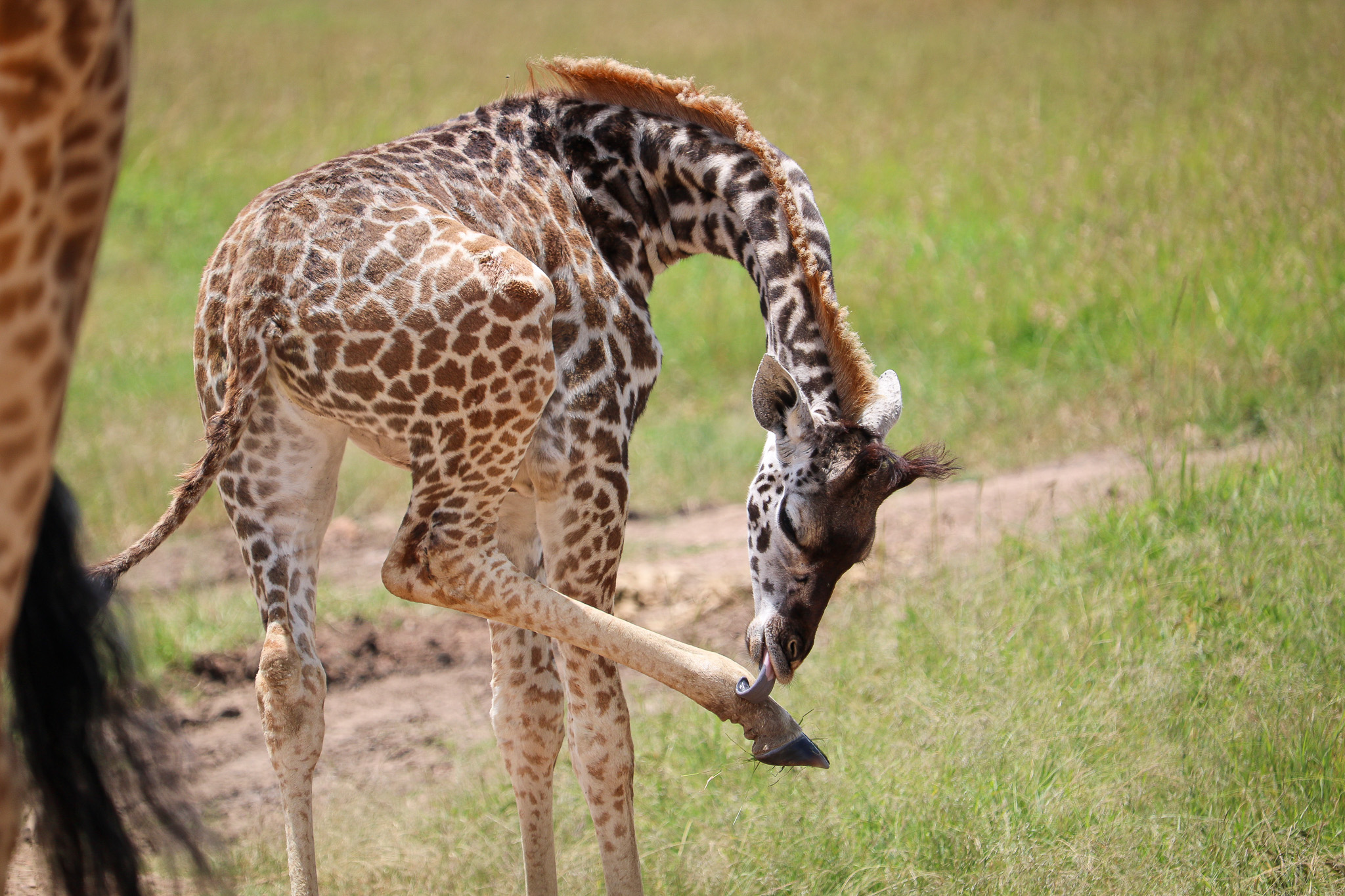 Flexibility Has Its Perks